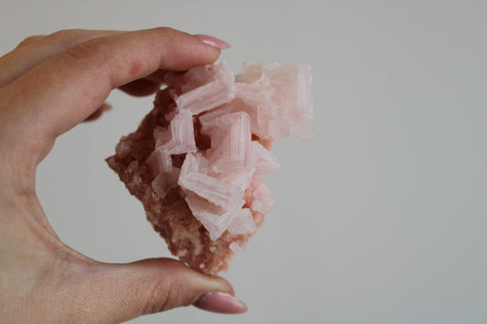 Roze haliet cluster A+ kwaliteit - Gemstone Dreams