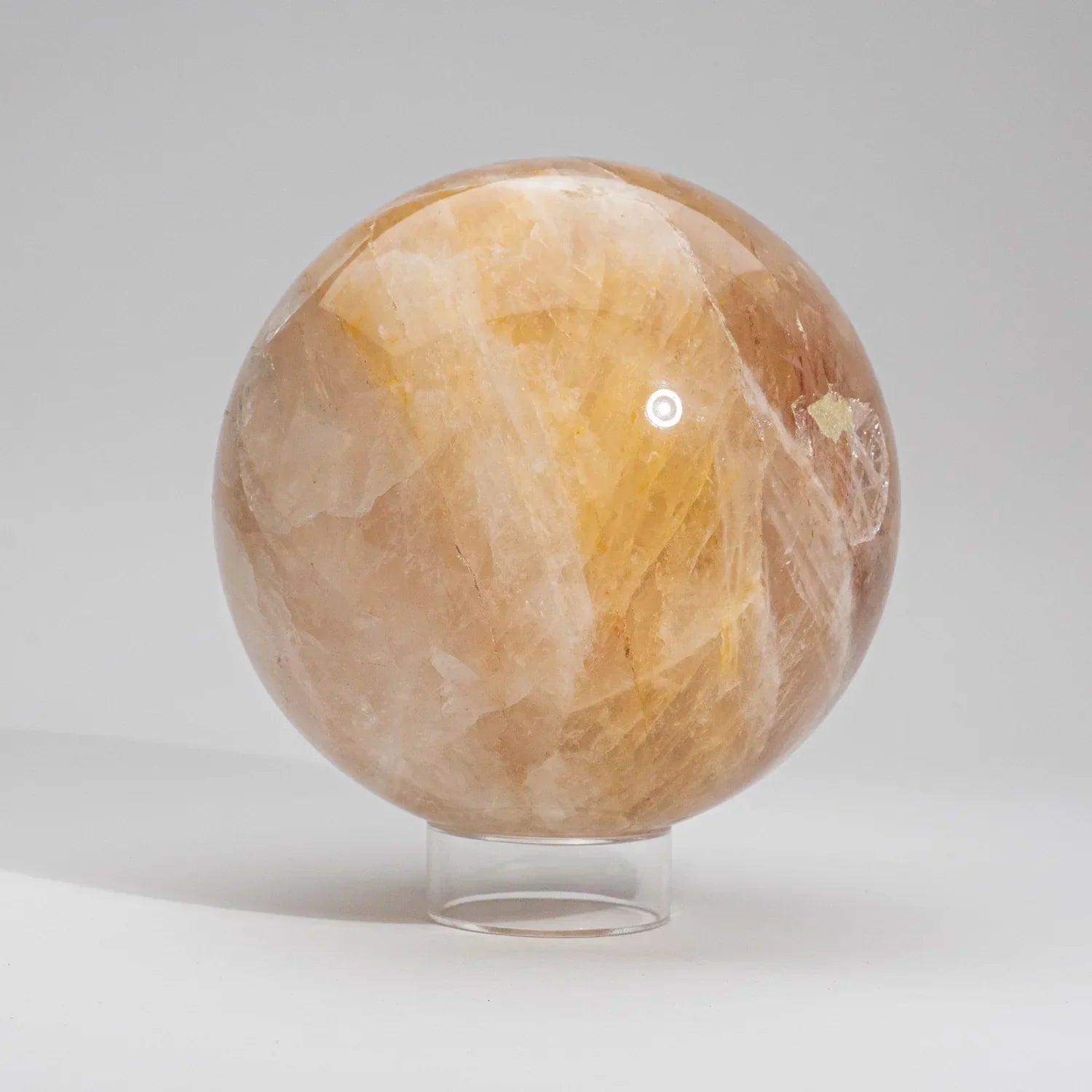 Bollen