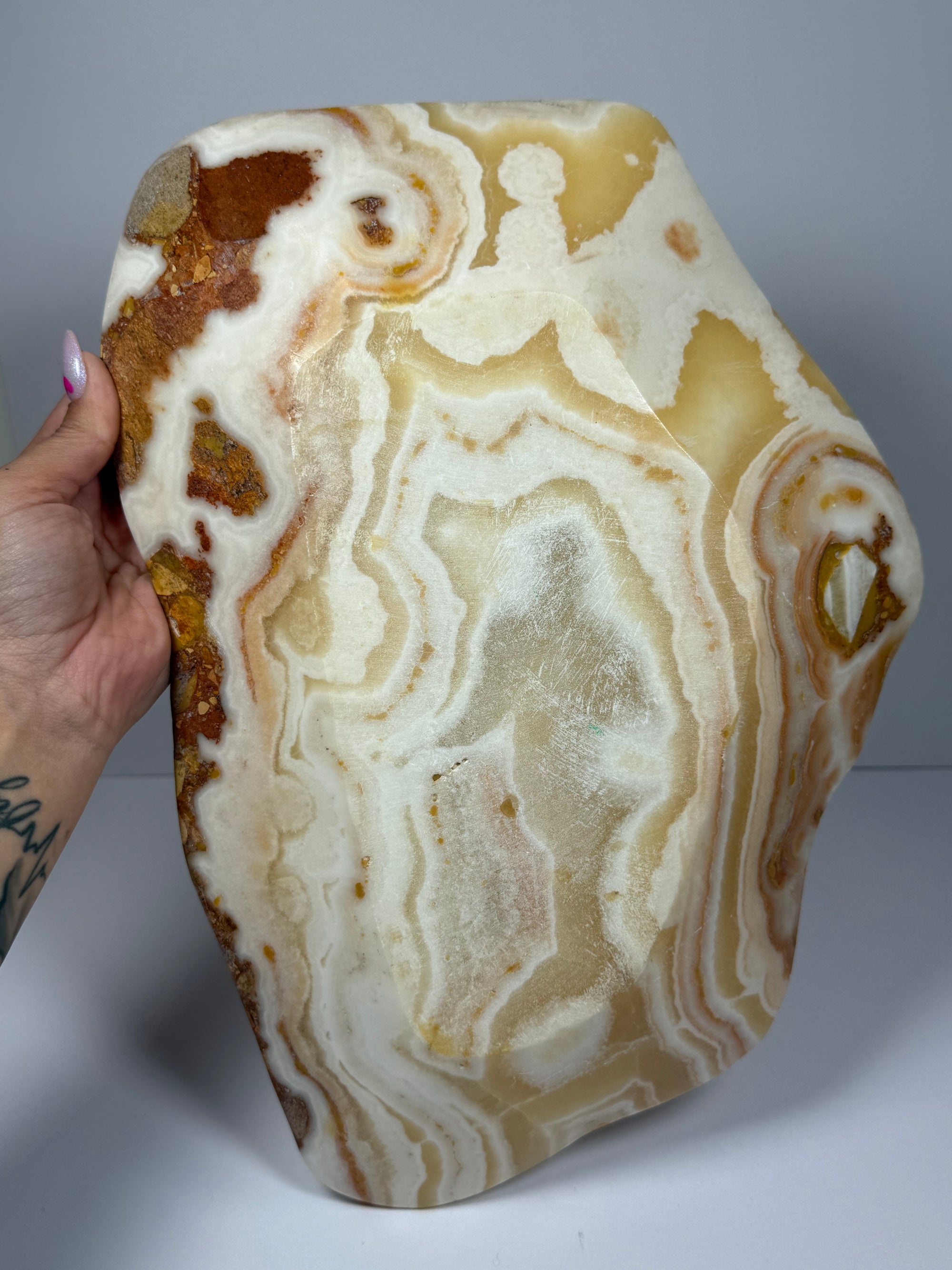 XL aragoniet schaal