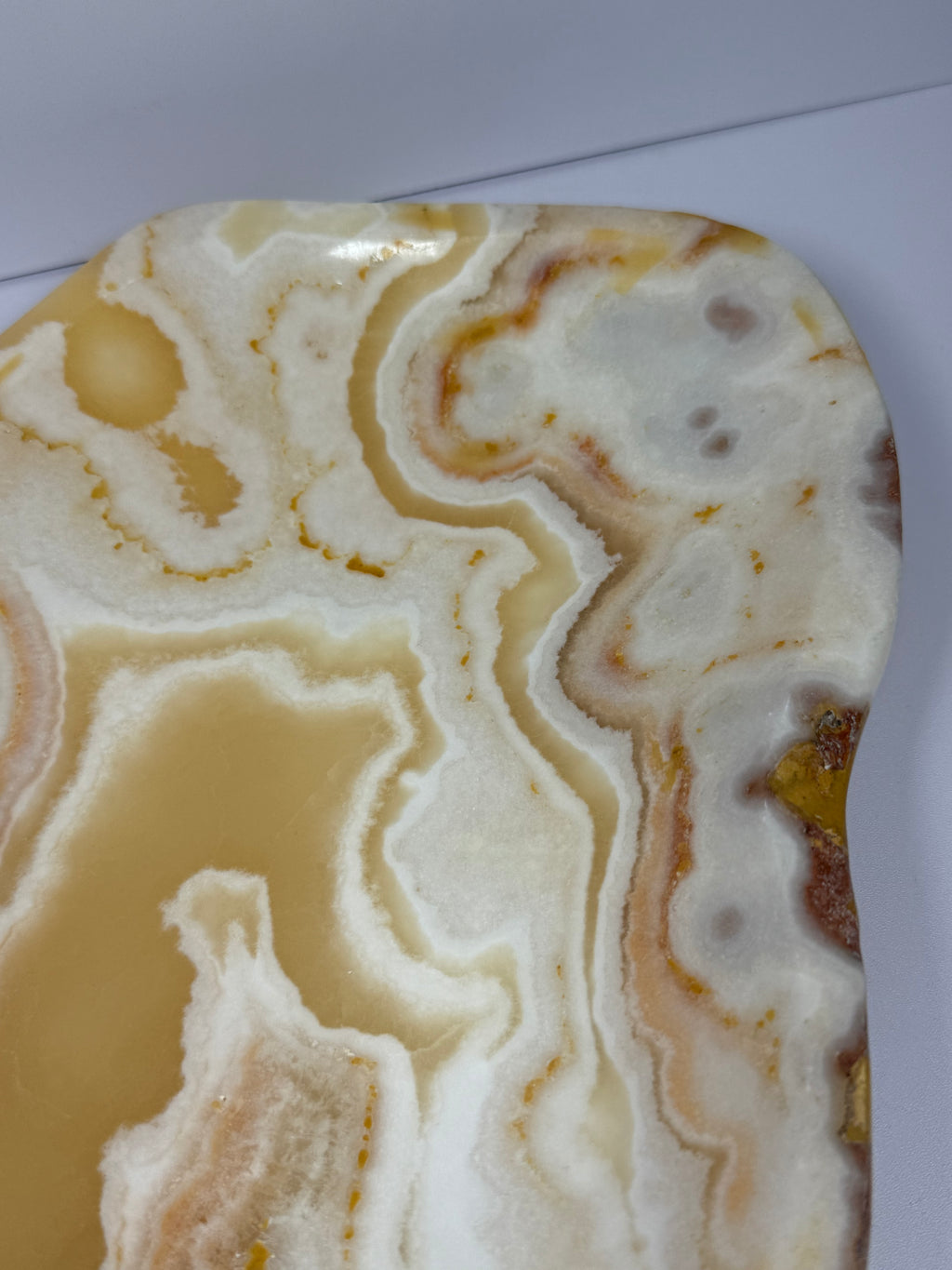 XL aragoniet schaal