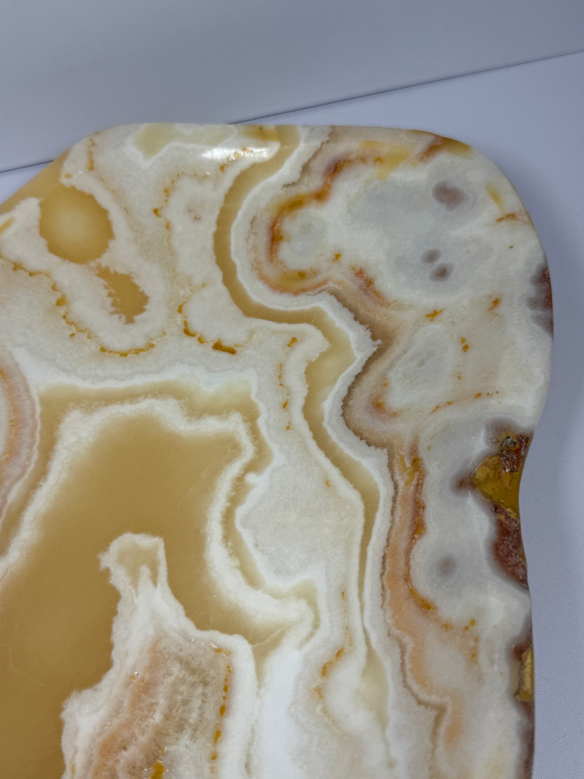 XL aragoniet schaal