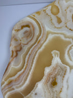 XL aragoniet schaal