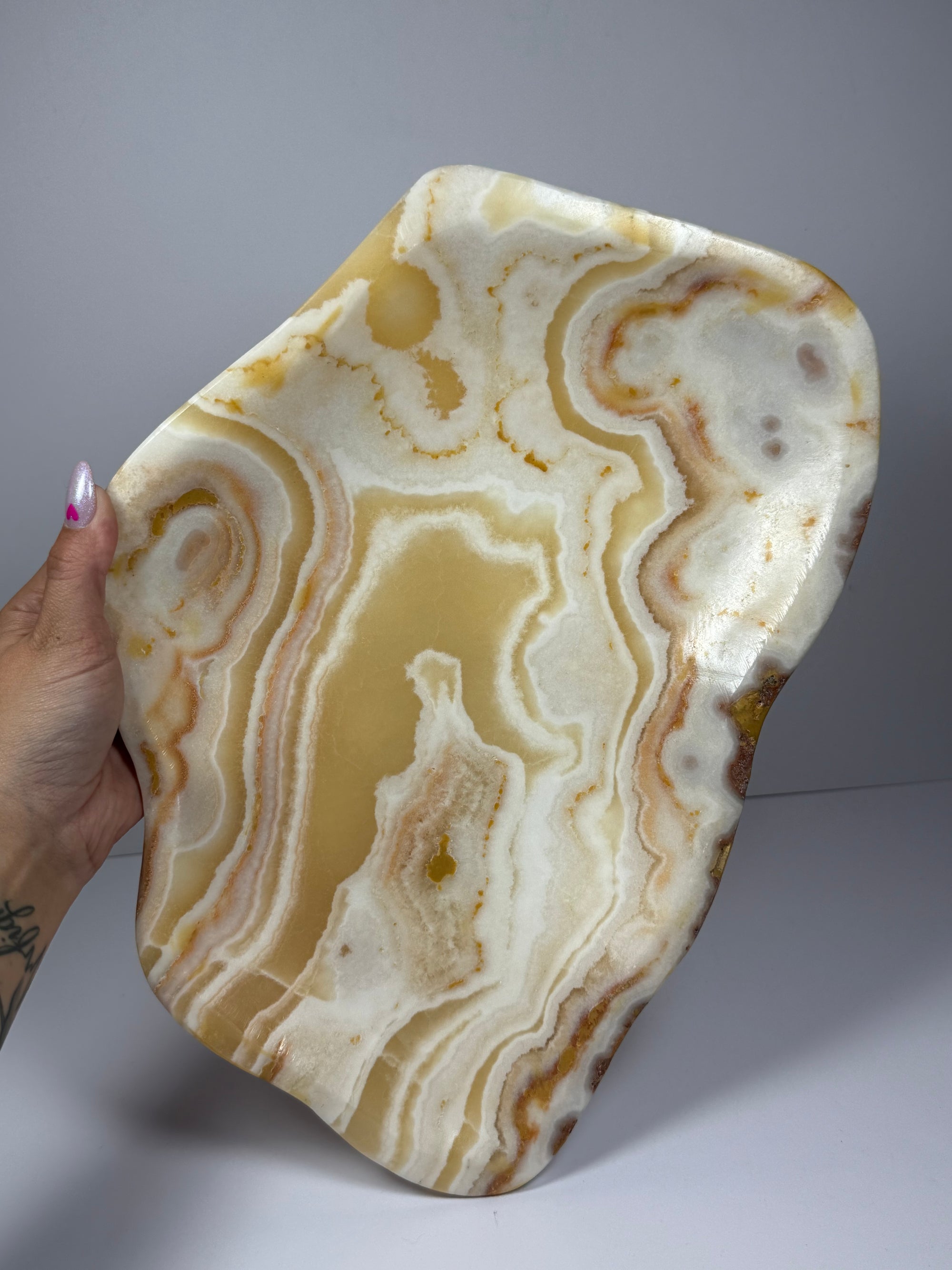 XL aragoniet schaal