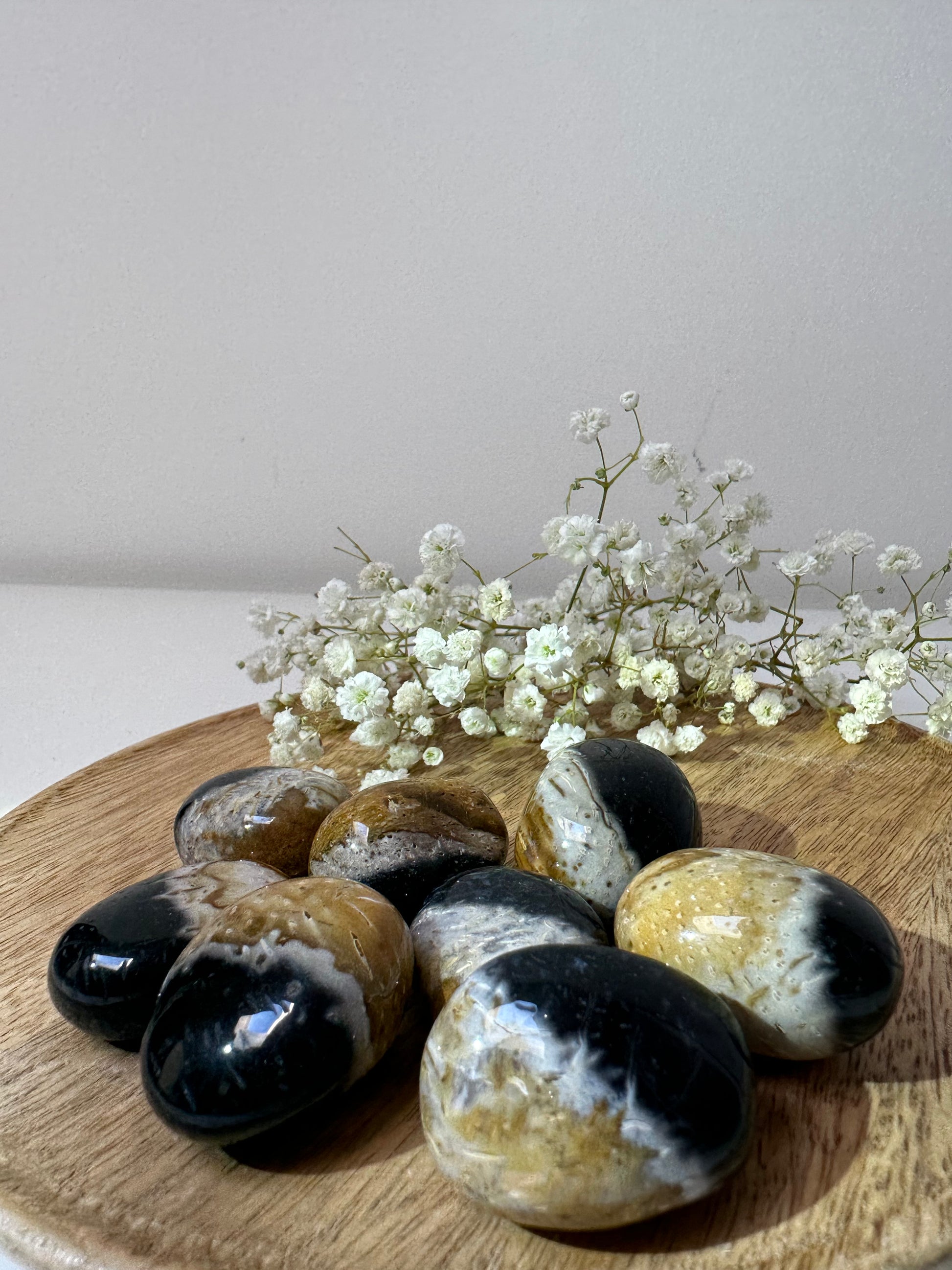 Palmroot - Gemstone Dreams