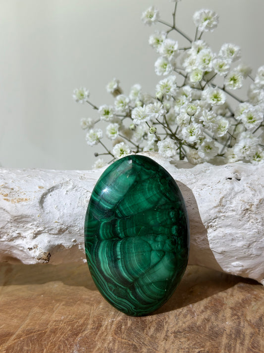 Malachiet palmsteen A+ kwaliteit - Gemstone Dreams