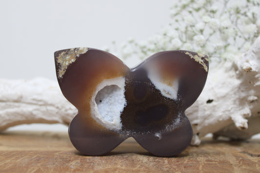 Agaat druzy vlinder - Gemstone Dreams