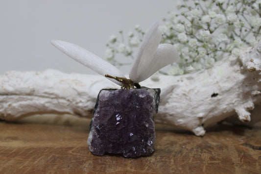 Butterfly on amethyst cluster