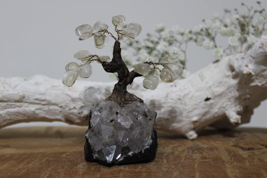 Bergkristal bonsai boom op amethist