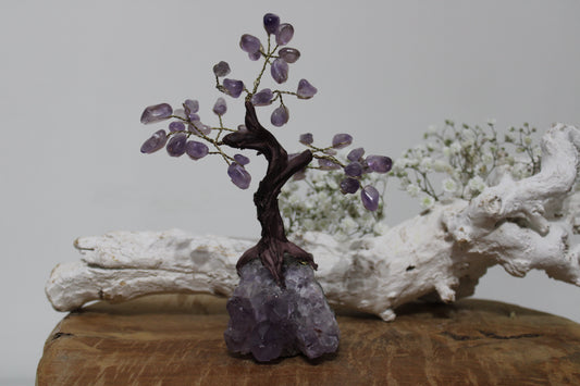 Amethist bonsai boom op amethist