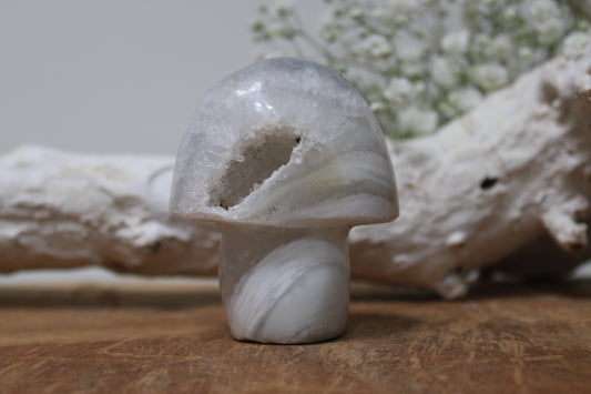 Agaat paddenstoel
