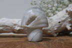 Agaat paddenstoel - Gemstone Dreams