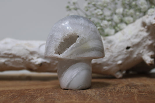 Agaat paddenstoel - Gemstone Dreams