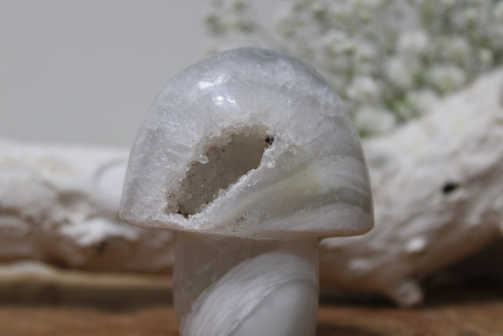 Agaat paddenstoel - Gemstone Dreams