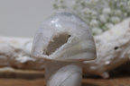 Agaat paddenstoel - Gemstone Dreams