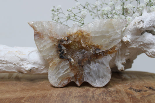Agaat met golden healer vlinder - Gemstone Dreams