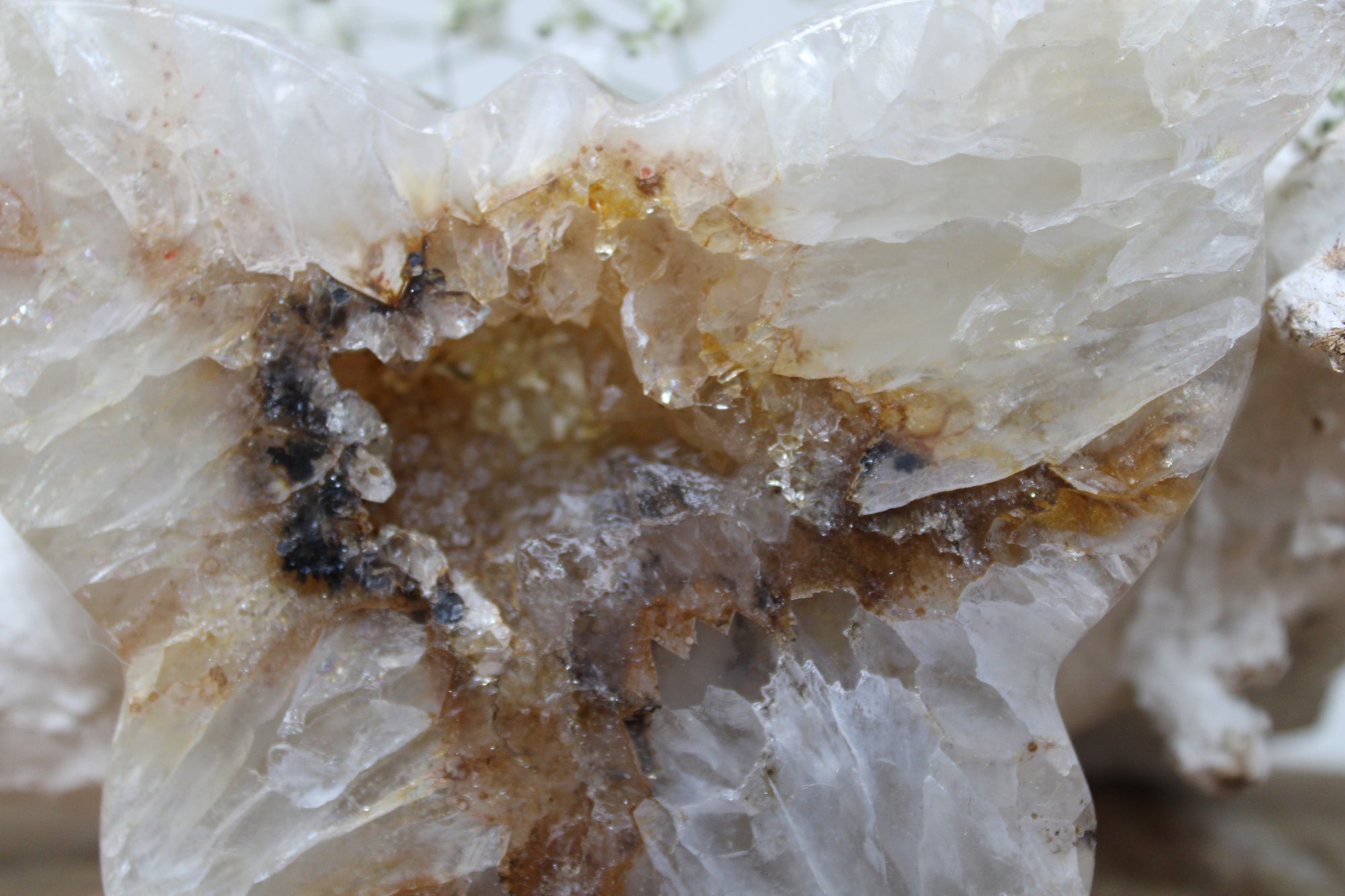 Agaat met golden healer vlinder - Gemstone Dreams