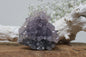 Flower amethyst cluster
