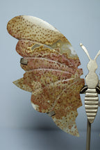 Palmroot butterfly on stand