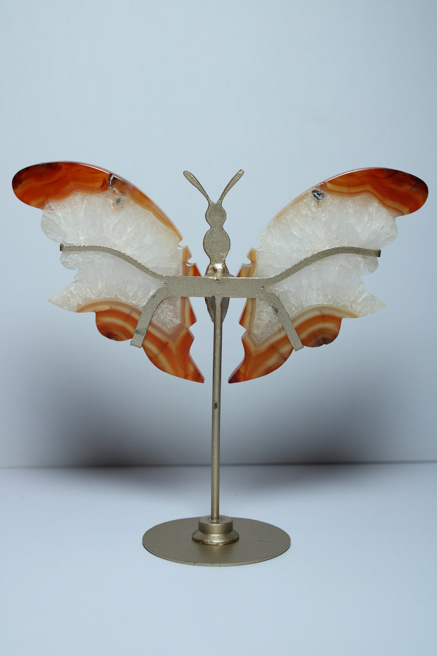 Carneool vlinder op standaard