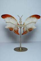 Carneool vlinder op standaard