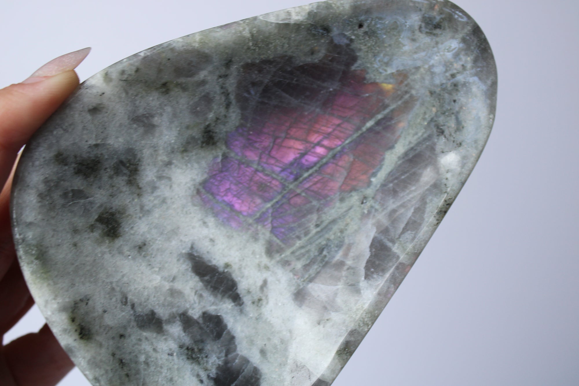 Labradoriet roze flash schaal - Gemstone Dreams