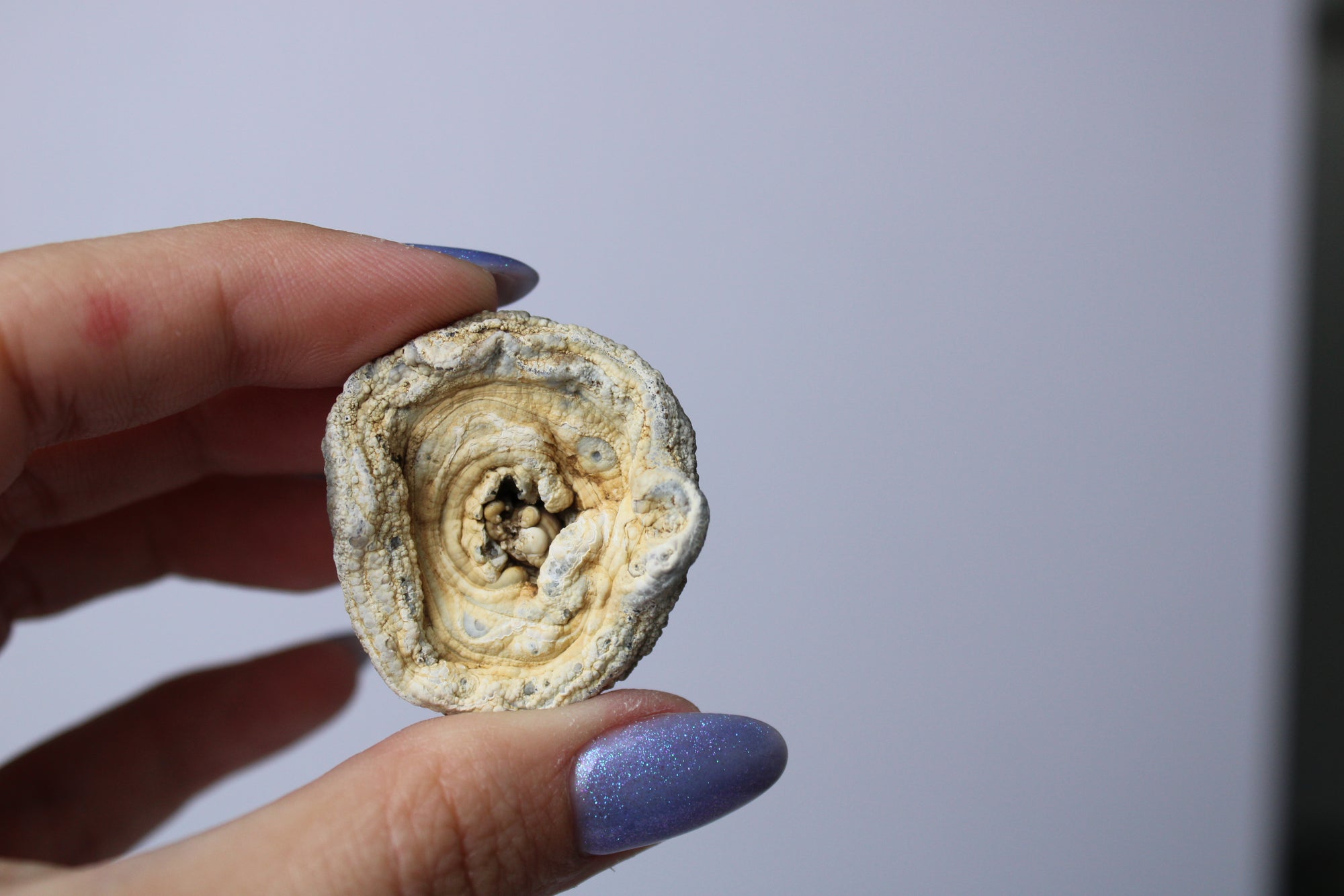 Chalcedoon roosje 5 - Gemstone Dreams