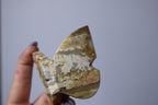 Yellow crazy lace vlinder - Gemstone Dreams