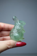 Rabbit fluorite