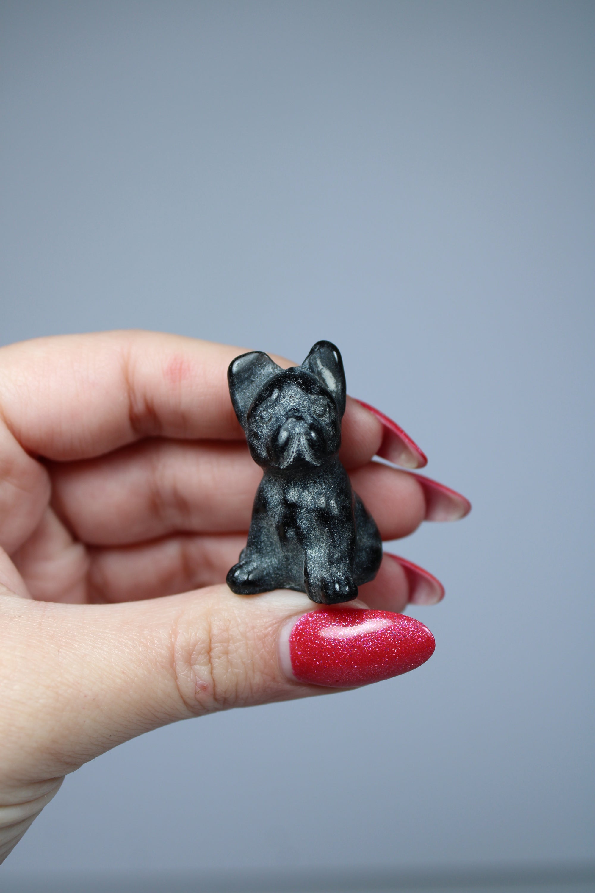 French bulldog dog black obsidian