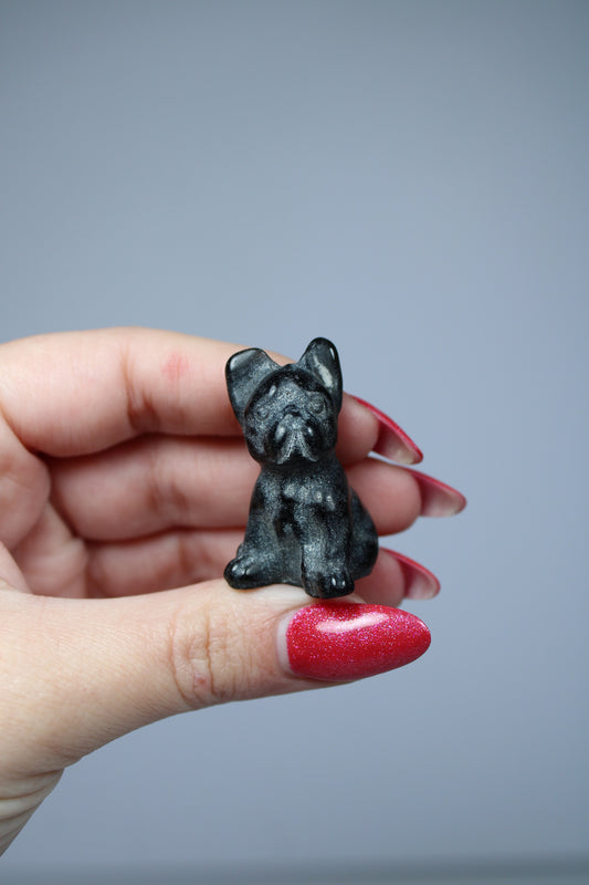 Franse bulldog hond zwarte obsidiaan
