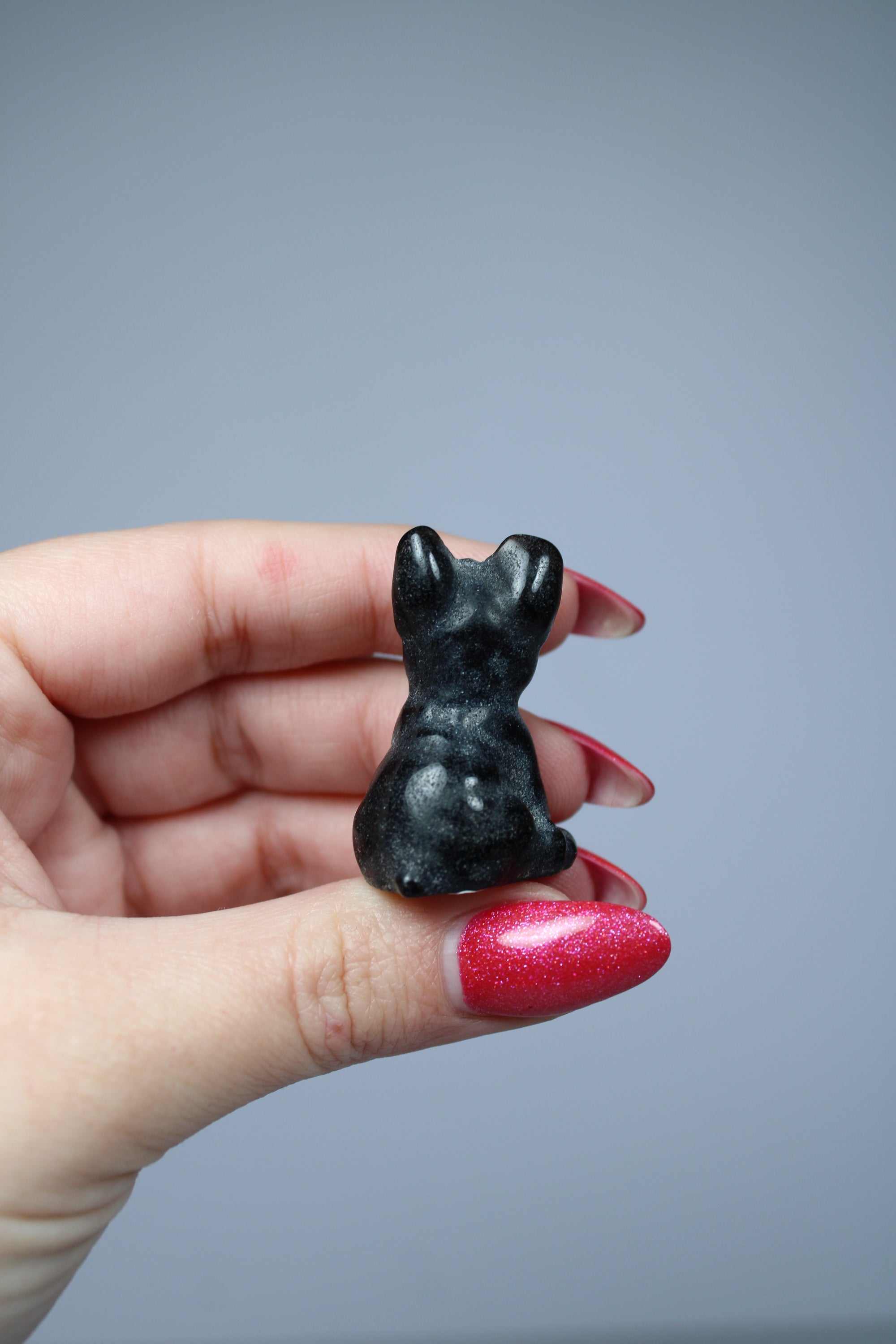 French bulldog dog black obsidian