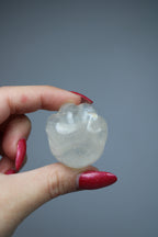 Cat's paw rock crystal