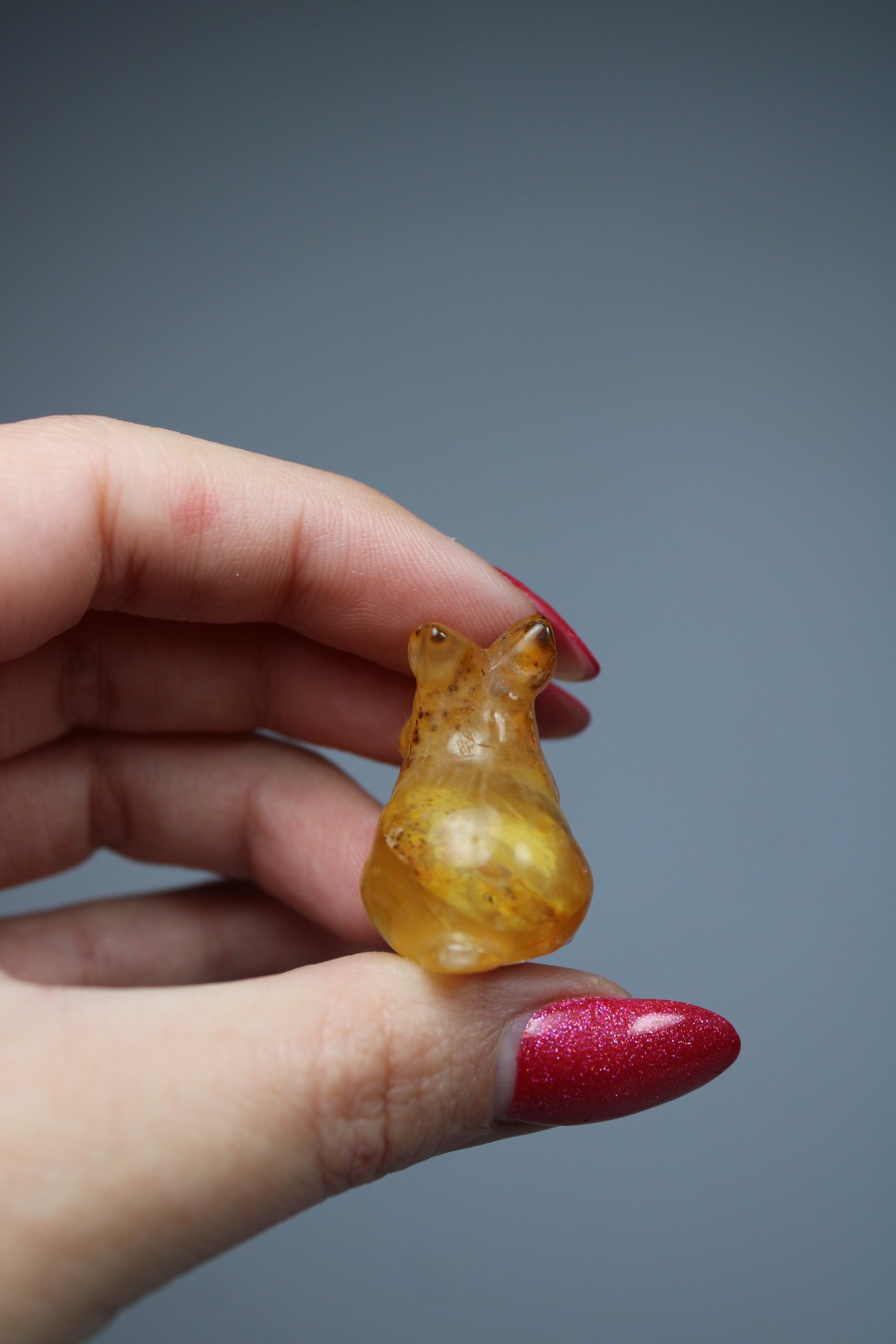 Rabbit golden healer