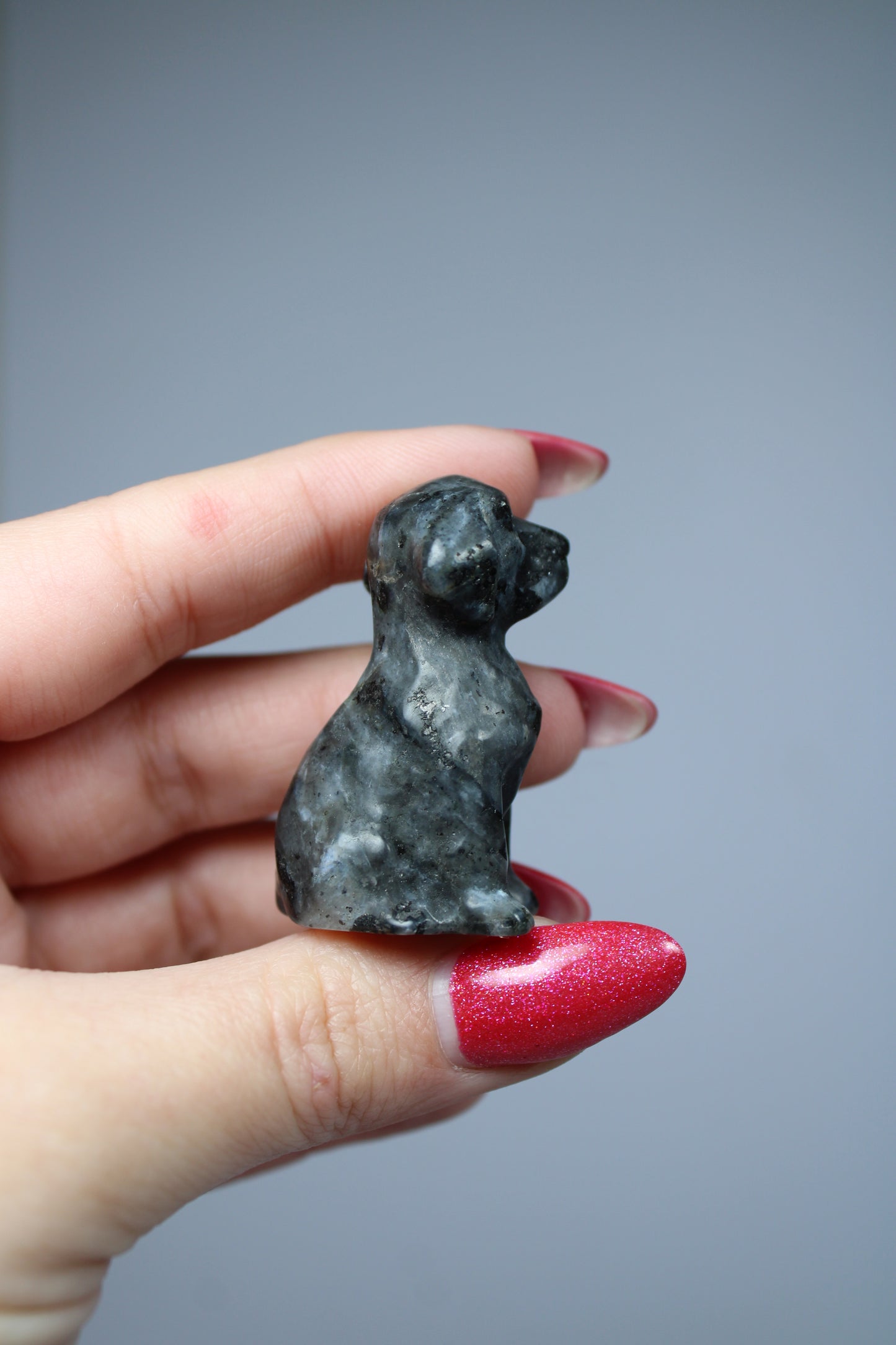 Hond yooperliet