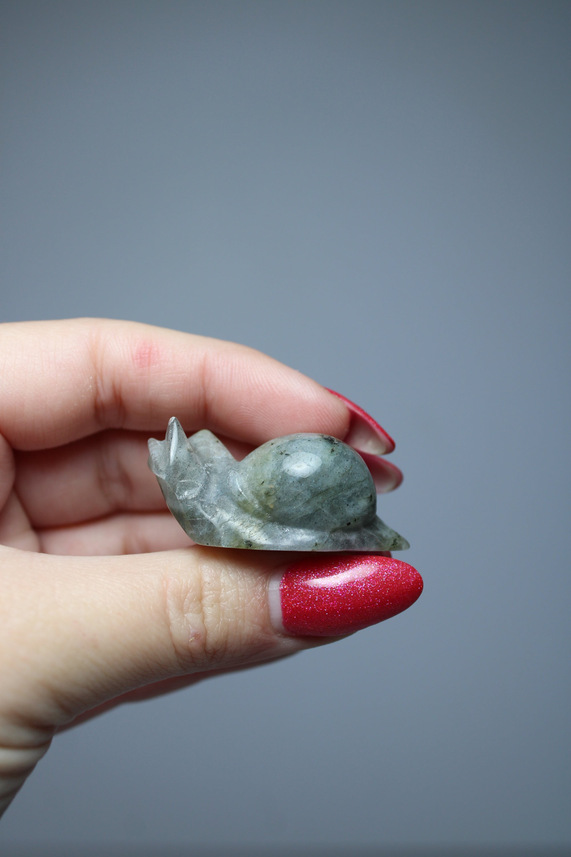 Snail labradorite