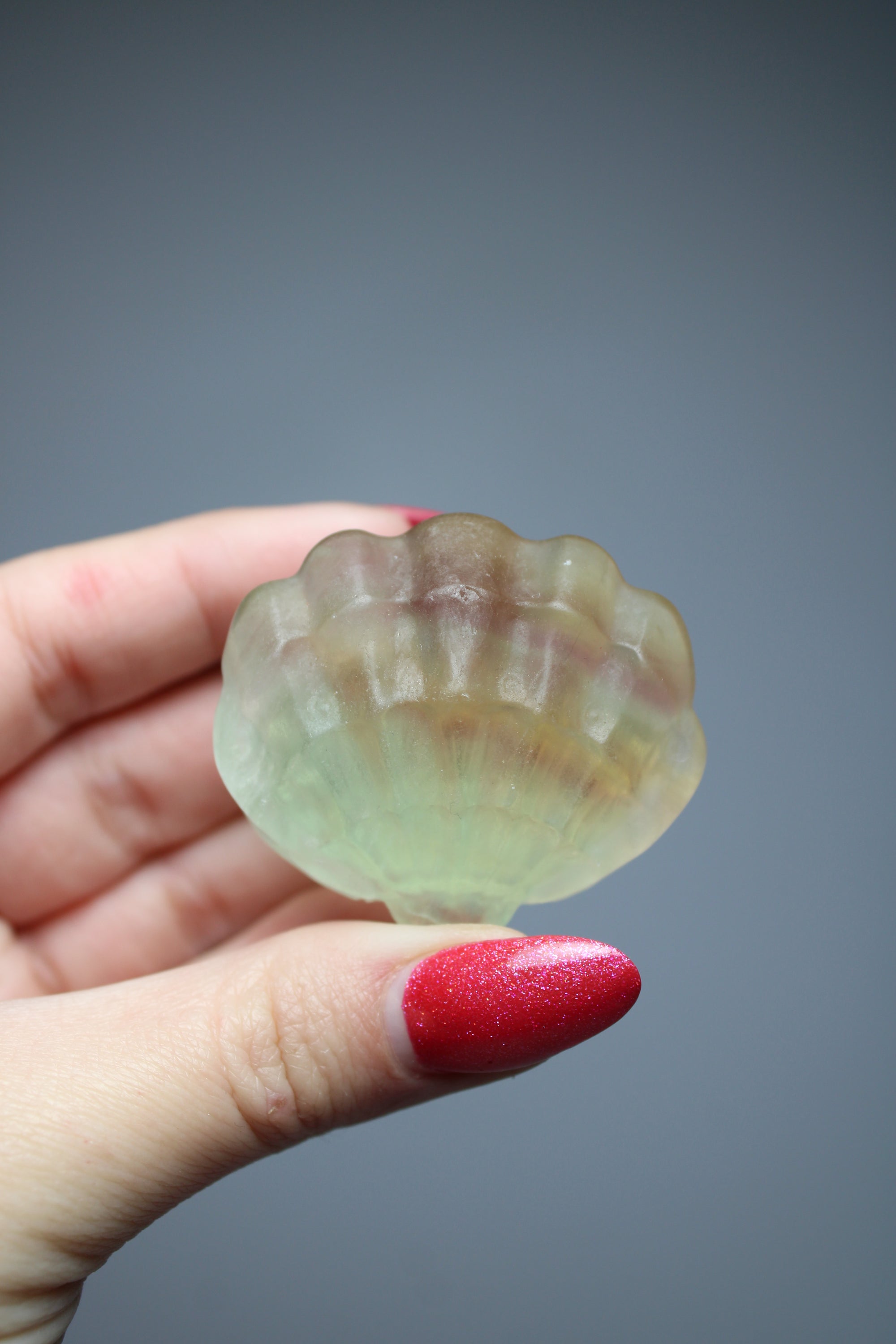 Shell rainbow fluorite