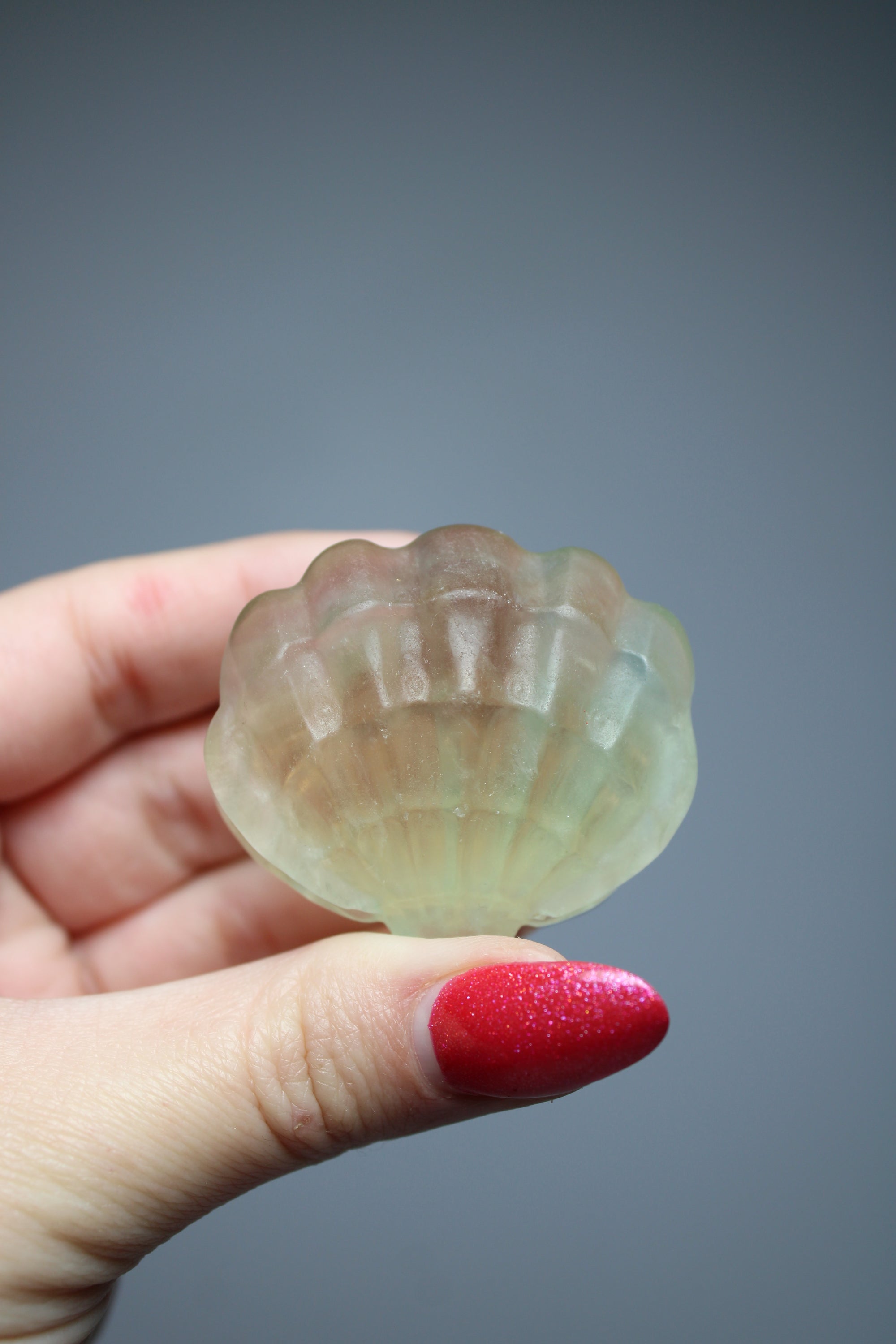 Shell rainbow fluorite
