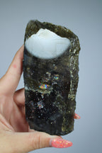 Ioliet slab
