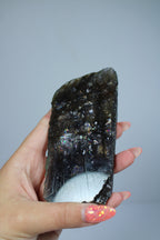 Ioliet slab