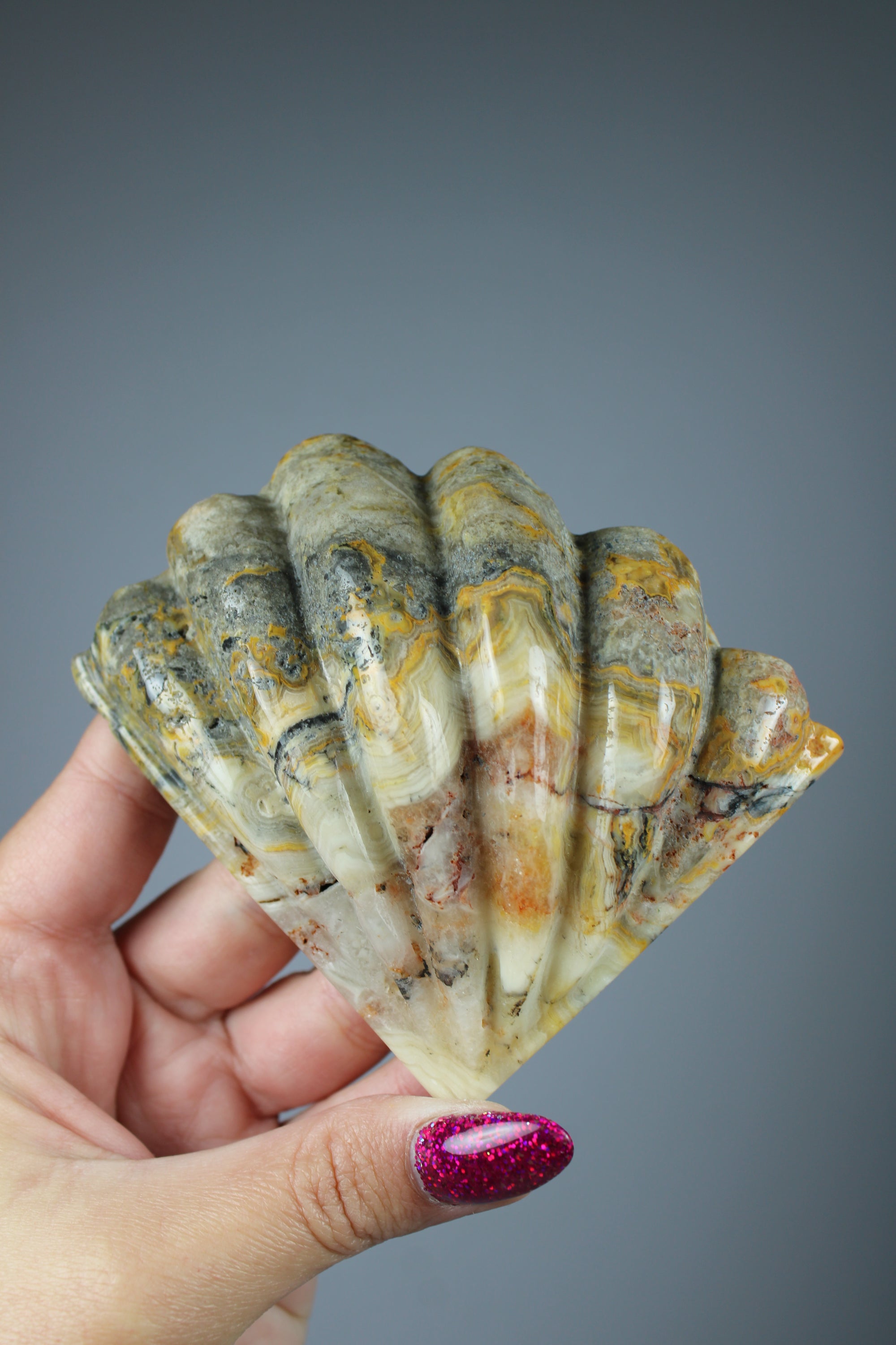 Yellow crazy lace agate shell
