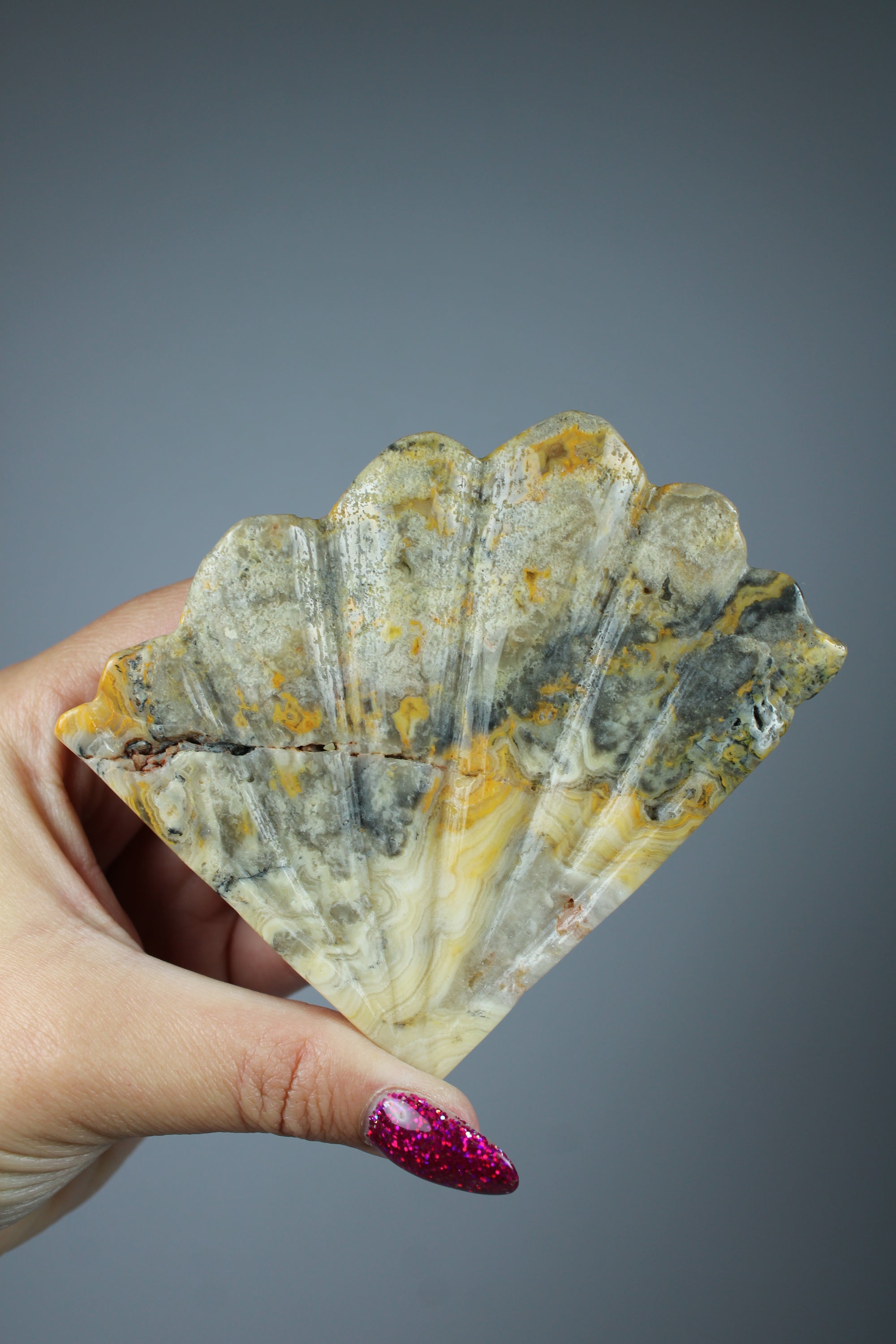 Yellow crazy lace agate shell