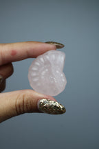 Rose quartz shell