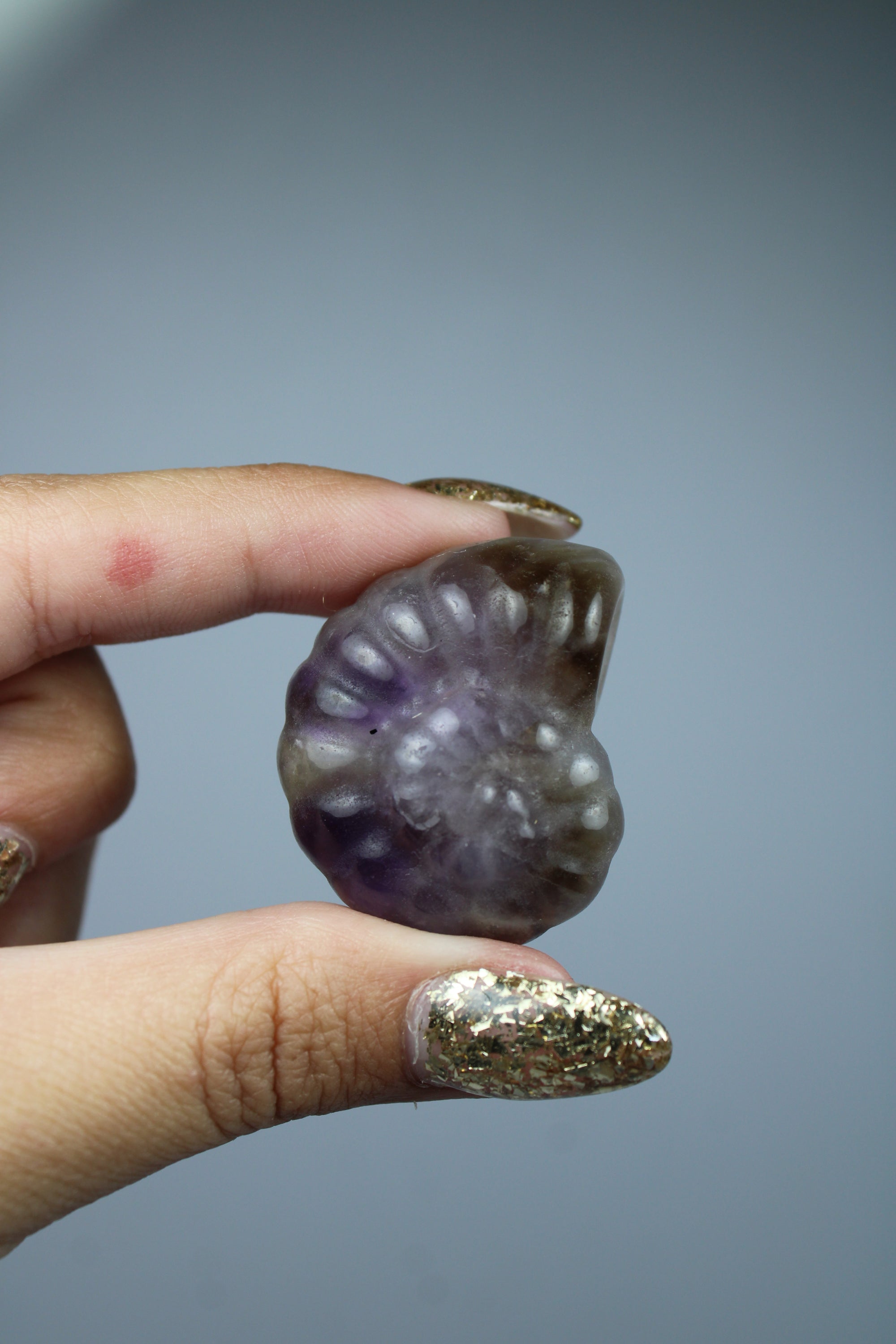 Amethyst shell