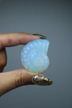 Opaliet schelpje