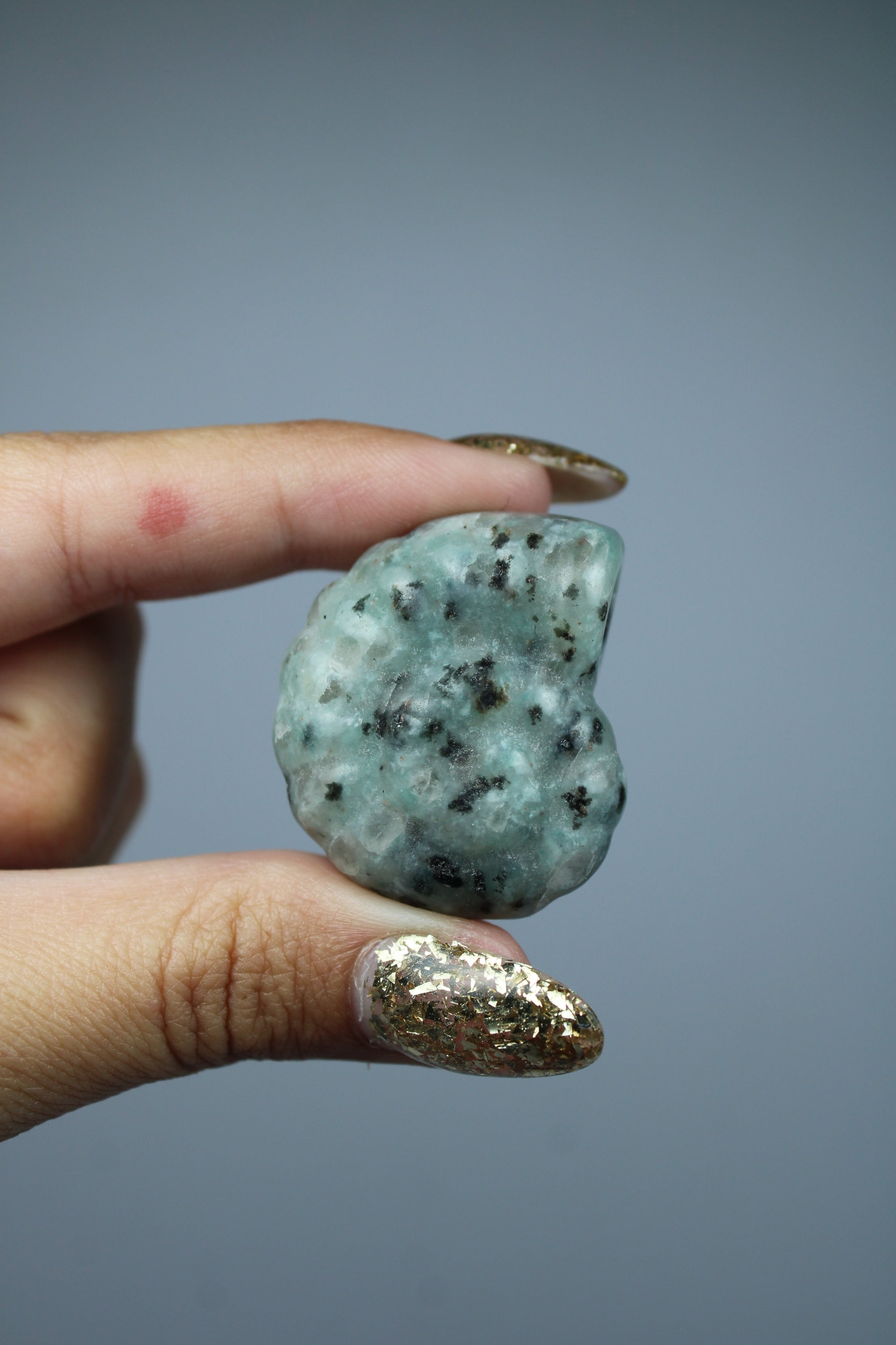 Amazonite shell