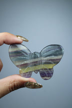 Regenboog fluoriet vlinder