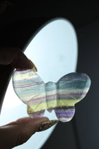 Regenboog fluoriet vlinder