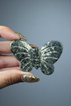 Pyriet vlinder