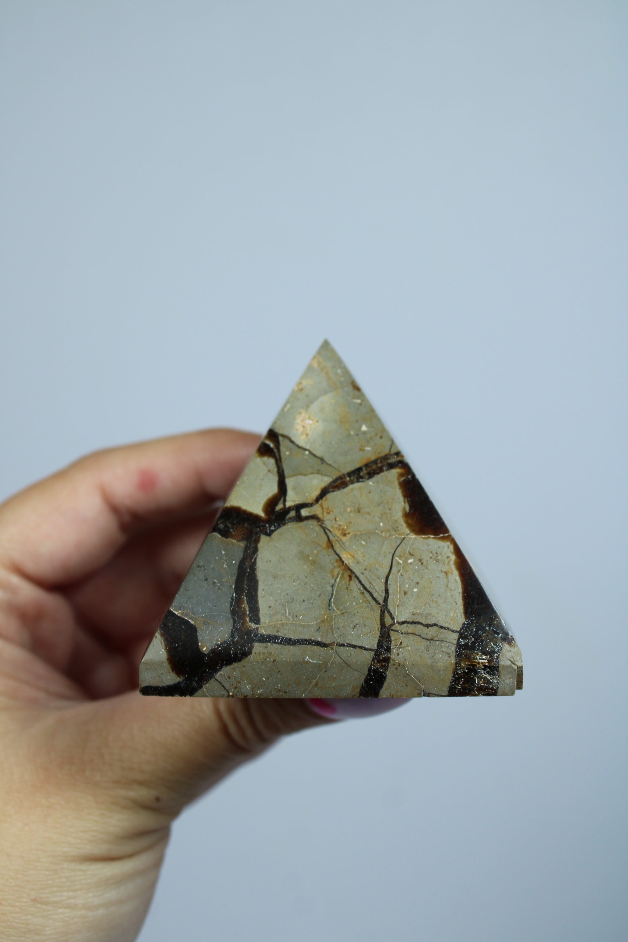 Septarie piramide