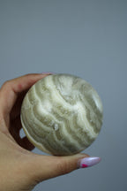 Zebra onyx bol